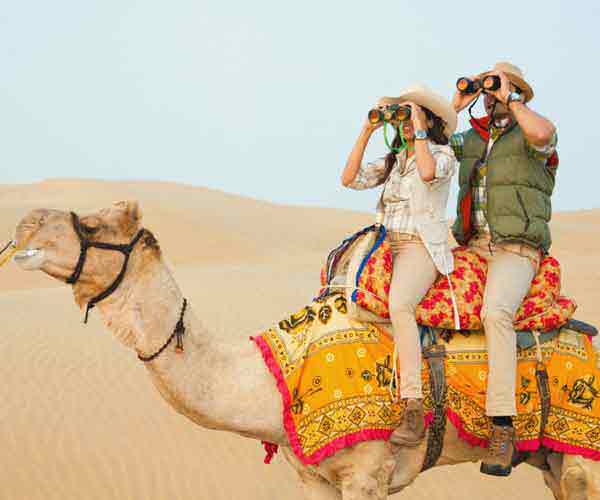 Camel Safaris in Jaisalmer