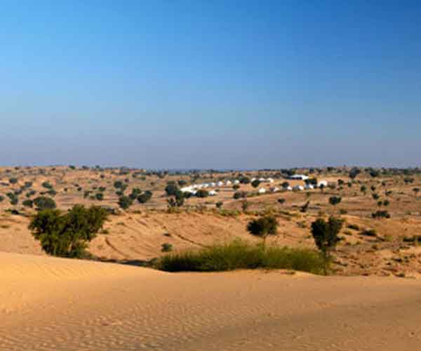 Desert Camping in Jodhpur